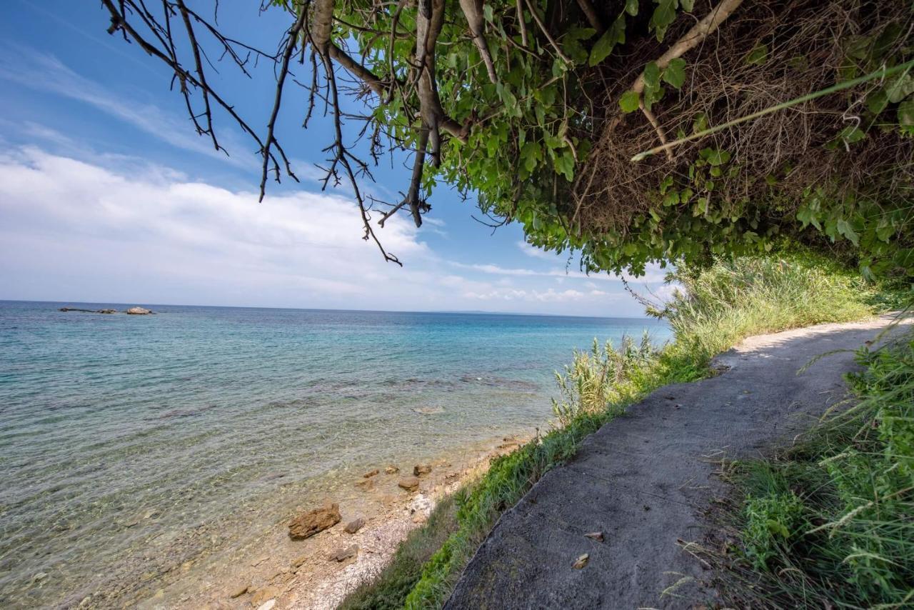 Ionian Aura Lejlighedshotel Tsilivi  Eksteriør billede